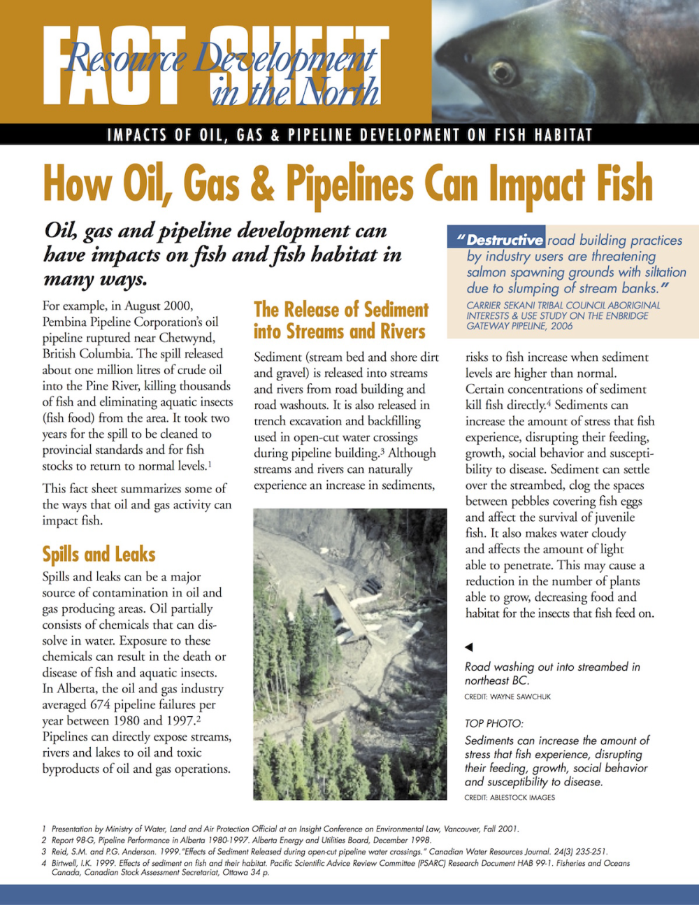 How Oil, Gas & Pipelines Can Impact Fish | Pembina Institute