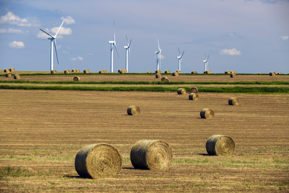 Wind turbines on the horizon in rural Alberta