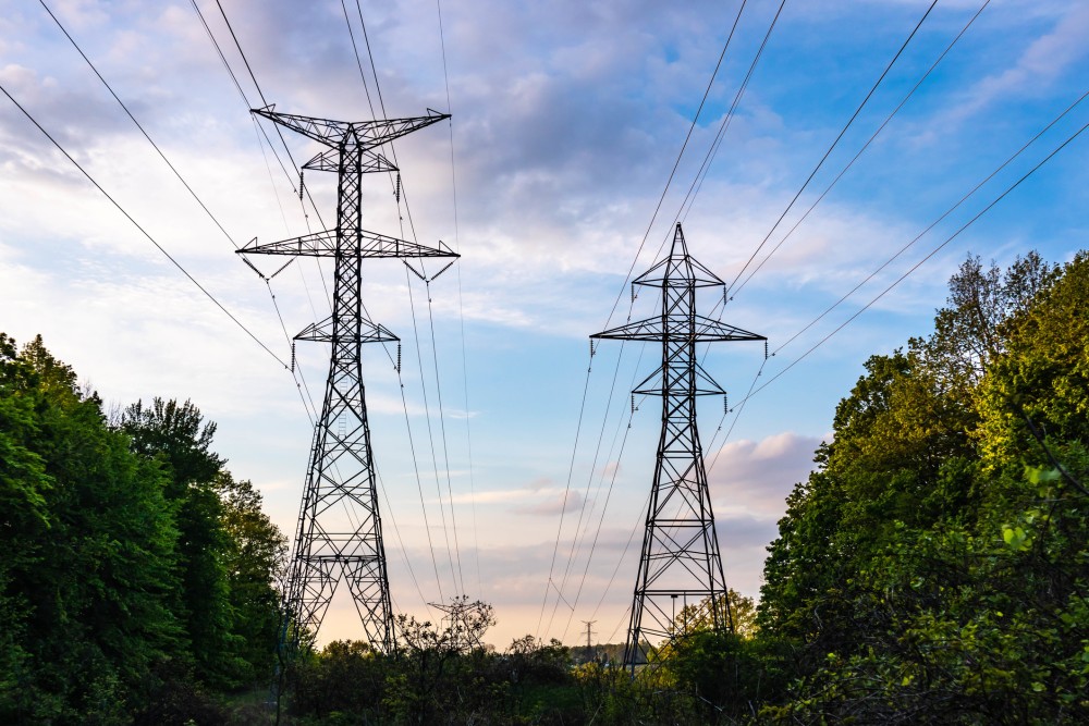 Photo of transmission lines between trees under a setting sun