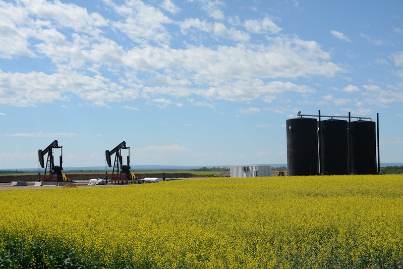 Oil pumpjacks in a field in Peace Country, Alberta