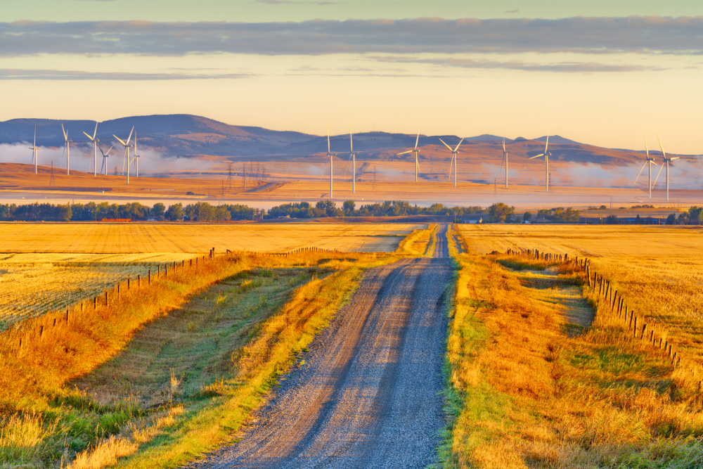 Photo of sunrise over a wind farm in rural Alberta