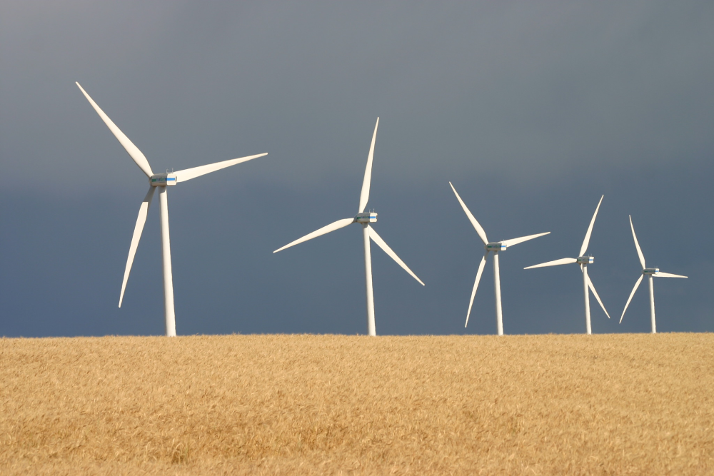 Wind turbines in Alberta