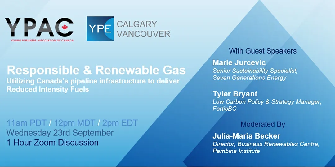 webinar banner with blue triangles