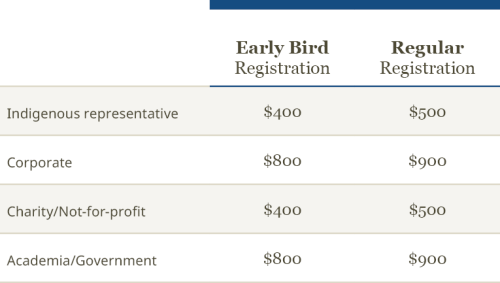 RiRC 2025 registration fees