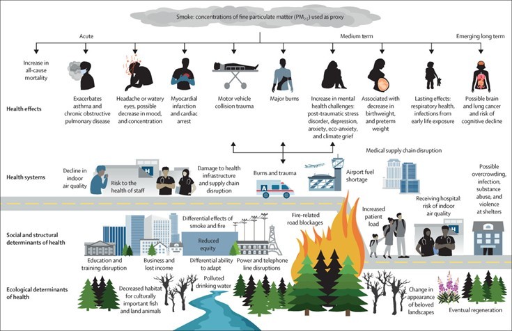 Graphic from The Lancet on wildfires and smoke