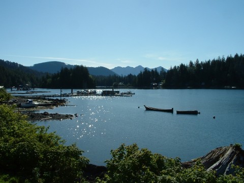 Kyuquot BC harbour