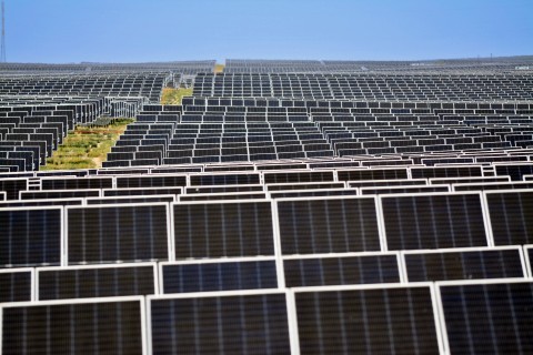 Solar farm