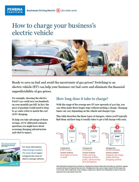 cover of businesses driving electric fact sheet series