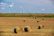 Wind turbines on the horizon in rural Alberta with hay bales