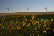 wind turbines in a field