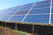 Solar panels in a field